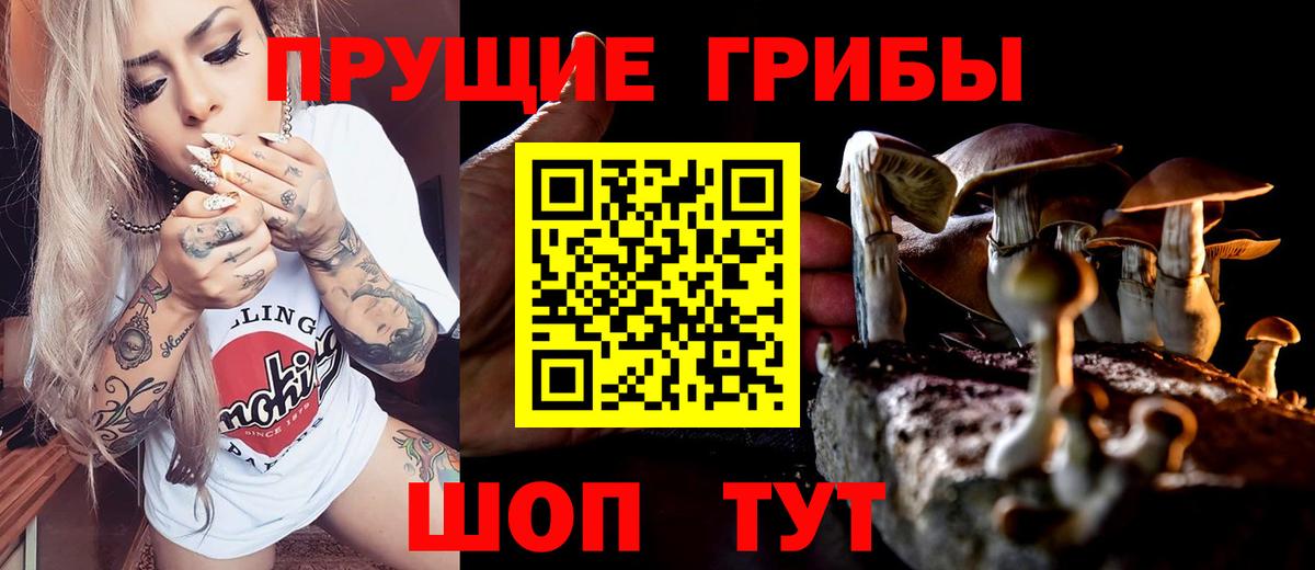 Галлюциногенные грибы прущие грибы  Галлюциногенные грибы ЛСД  Курчатов  Вход с VPN 